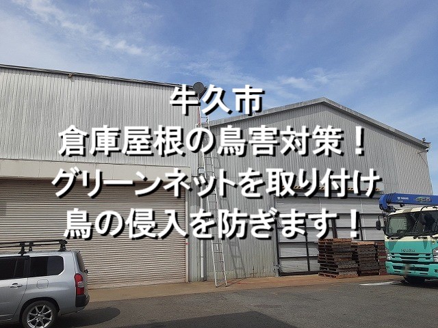 牛久市　倉庫屋根の鳥害対策！グリーンネットを取り付け鳥の侵入を防ぎます！